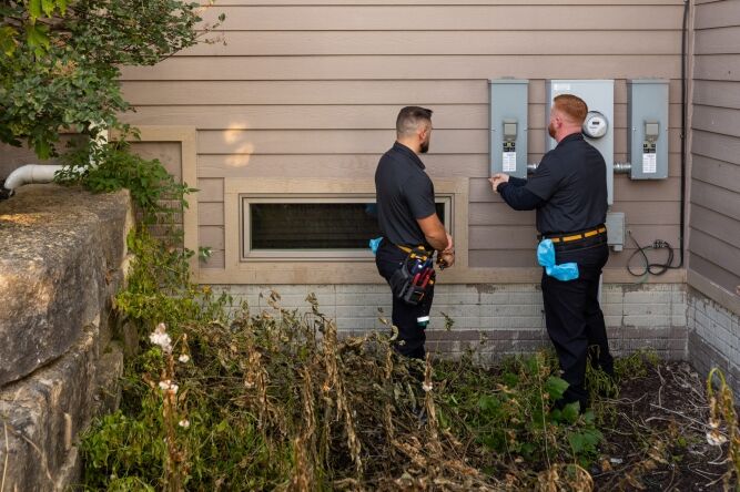 Two utility workers stand outside a building near electrical meters, with tools on their belts and overgrown plants in the foreground.